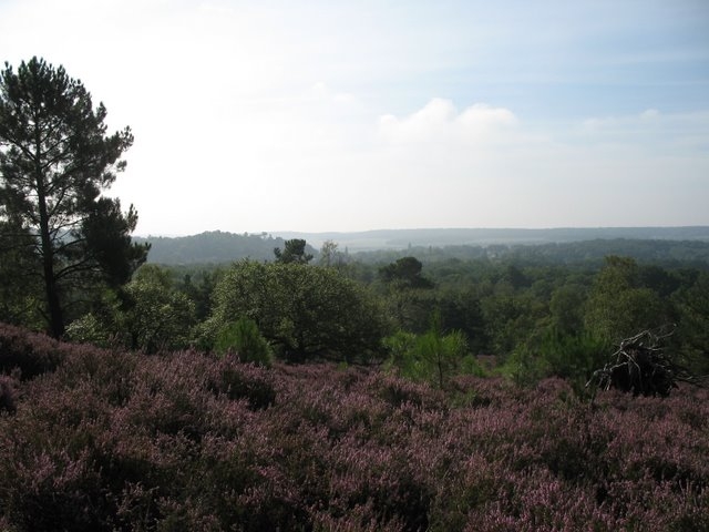 2007 08 Bois de Rochefort 22